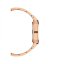 Hodinky DANIEL WELLINGTON model ICONIC LINK DW00100210