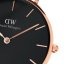 Hodinky DANIEL WELLINGTON model PETITE DOVER DW00100314