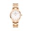 Hodinky DANIEL WELLINGTON model ICONIC LINK DW00100213