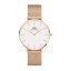 Hodinky DANIEL WELLINGTON model PETITE MELROSE DW00100305