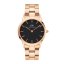 Hodinky DANIEL WELLINGTON model ICONIC LINK DW00100210