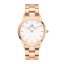 Hodinky DANIEL WELLINGTON model ICONIC LINK DW00100209